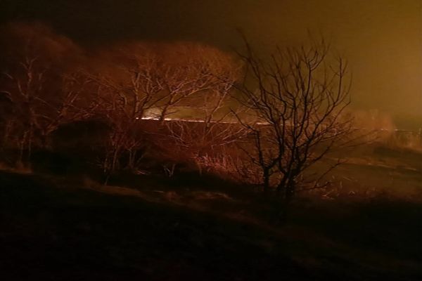 VIDEO Incendiu uriaș în Delta Dunării