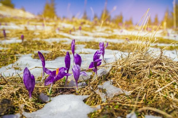 Vremea extremelor: Temperaturi de primăvară și ninsori, la final de februarie