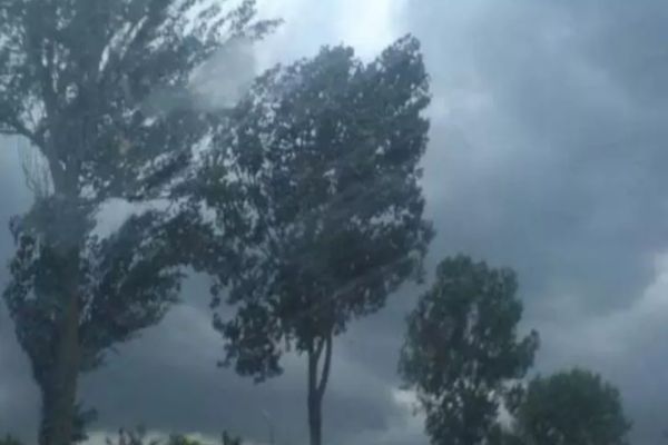 Avertizare ANM - Cod galben de ploi și vijelii 