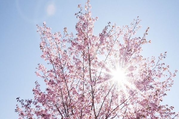 Temperaturi în creştere în cea mai mare parte a ţării. Ce zone fac excepție