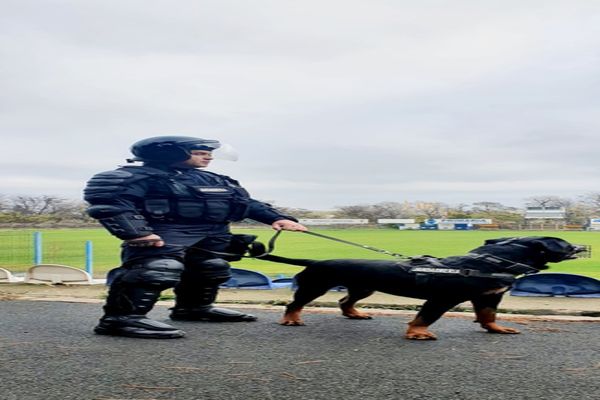 Jandarmii tulceni merg la fotbal în weekend