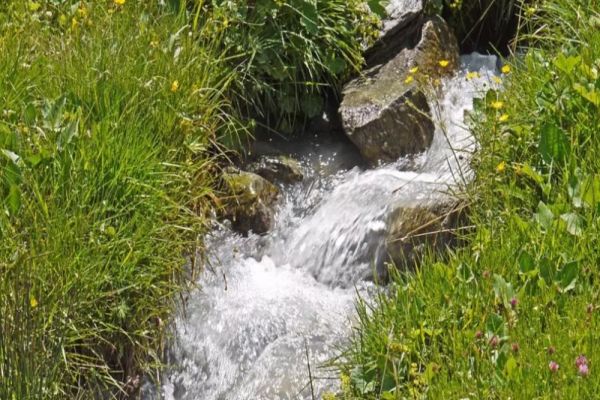 Scandal uriaș: UDMR, acuzat de monopol pe apele termale. Conform unui proiect de lege, banii ar merge direct la partid