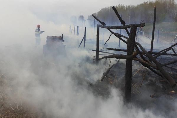 Incendiu la un saivan din Măcin. 100 de oi au ars de vii