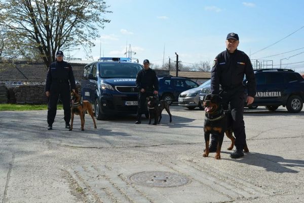 O altfel de școală alături de jandarmi