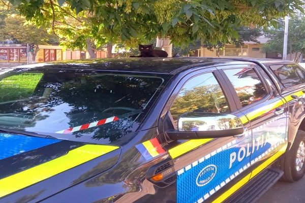 Zi cu ghinion pentru un bărbat din Măcin. Cum s-a ales cu dosar penal