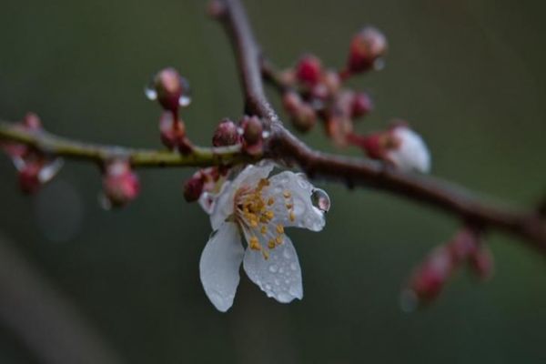 Vremea 9 aprilie. Temperaturile se mențin scăzute