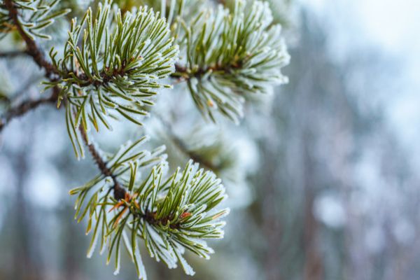 Cum va fi vremea astăzi. Unde va ploua