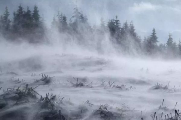 Cod galben de ninsori și viscol în mai multe județe. Zonele unde se va depune strat de zăpadă - HARTA