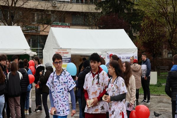 Târgul Meseriilor - Viitorul începe AZI la Tulcea