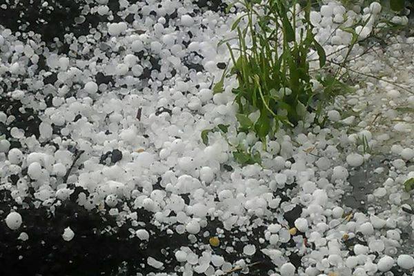 Alertă meteo. Cod galben de fenomene extreme: vijelii puternice și grindină 