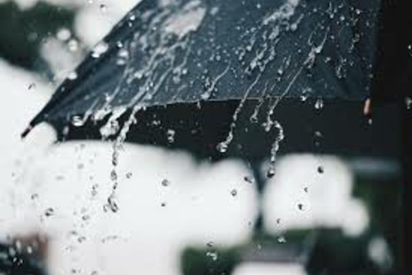 Cod galben de ploi abundente, în judeţele Tulcea, Constanţa, Călăraşi şi Ialomiţa