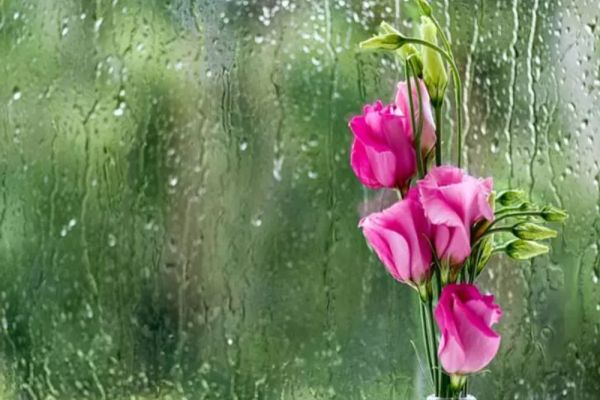 Fenomene meteo extreme continuă în România - Unde vor fi vijelii, grindină și vânt puternic - Anunțul ANM