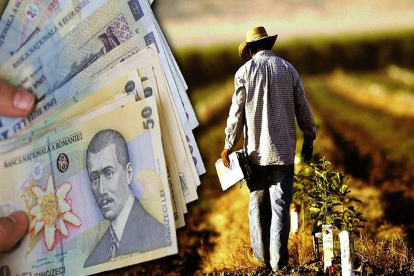 Ciucă: Sprijin de 45 de milioane de lei pentru agricultori
