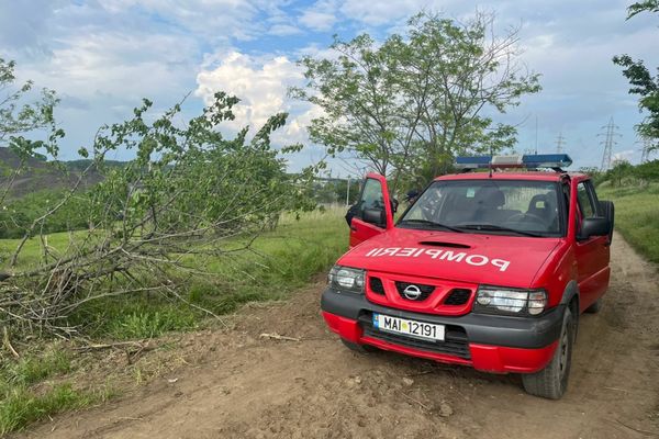 VIDEO FOTO Descoperire "explozivă" în Vărărie Baltă 