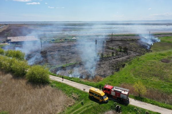 VIDEO Incendiu violent într-o fermă piscicolă din Delta Dunării