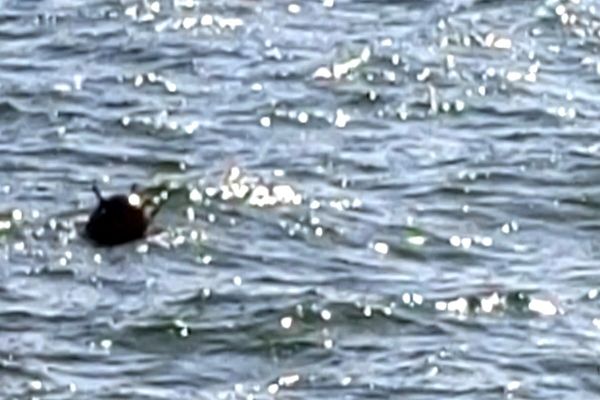 ROMÂNIA VA MONITORIZA ÎNCETAREA FOCULUI ÎN MAREA NEAGRĂ, ÎN URMA DECIZIEI LIDERILOR EUROPENI