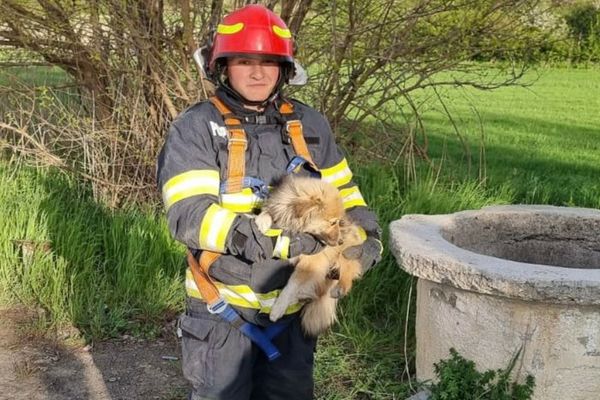 VIDEO Cățel norocos salvat dintr-o fântână adâncă 