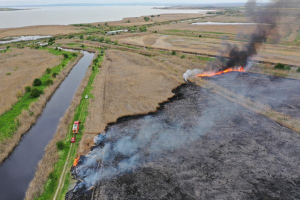 VIDEO  Incendiu violent în județul Tulcea. Zeci de hectare de stuf în flăcări