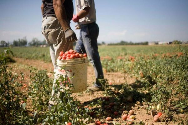 Horațiu Raicu: A.F.I.R. aplică o politică păguboasă în privinţa managementului resurselor umane cu implicaţii negative în implementarea PNS