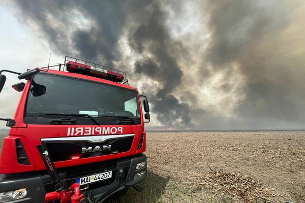 VIDEO Invendiu violent de stuf în Delta Dunării. Intervenție dificilă a pompierilor