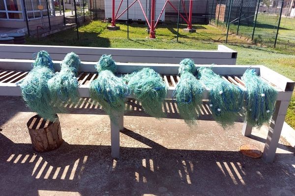 Zeci de kilograme de pește provenit din braconaj și sute de metri de plase, confiscate în Delta Dunării