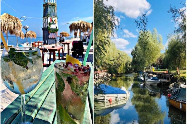 Trenurile Soarelui pornesc spre LITORAL și DELTA DUNĂRII