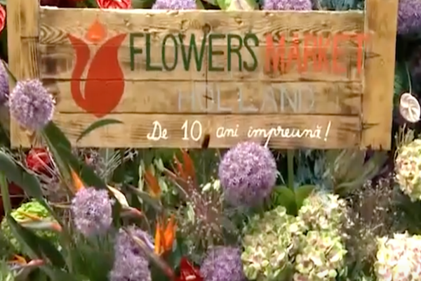 Flowers Market Holland - cel mai mare depozit de flori din Capitală a împlinit 10 ani VIDEO