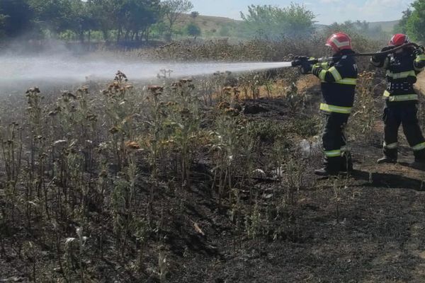 15 hectare de vegetație uscată făcute scrum, în Tulcea