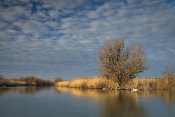 Două bărci pline cu turiști s-au ciocnit în Deltă! Un bărbat de 30 de ani este dat dispărut 