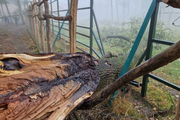 Furtunile au făcut ravagii în mai multe zone din țară