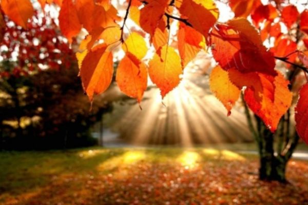 Vremea 24 octombrie - Temperaturi peste media normală a acestei perioade