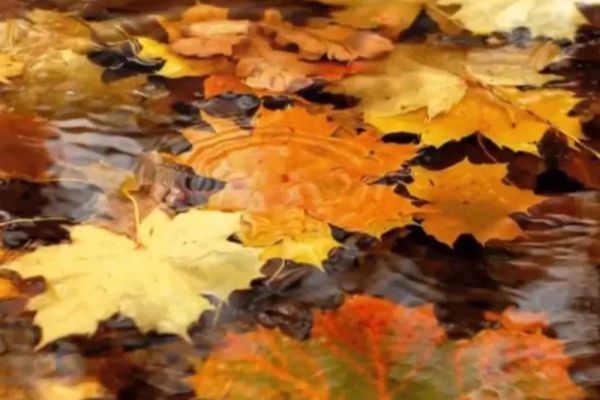 Vremea 6 decembrie. Temperaturi scăzute în toată țara de Sfântul Nicolae: ploi în sud și est, vânt puternic în Dobrogea și Muntenia