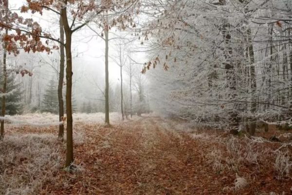 Prognoza meteo 12 decembrie. Cum va fi vremea azi