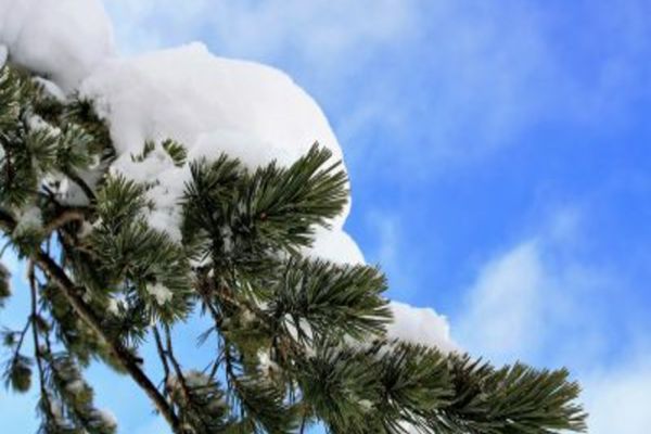 Vremea 28 noiembrie - Ninsori și viscol