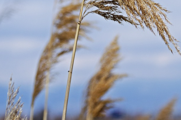 VREMEA 19 SEPTEMBRIE. TEMPERATURI ÎN CREȘTERE ÎN MAJORITATEA REGIUNILOR 