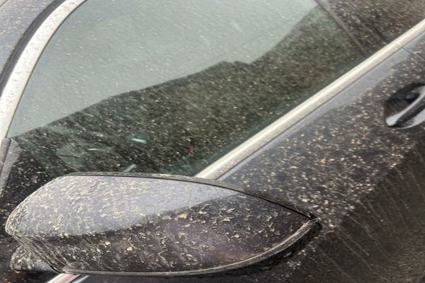 Analiza prafului saharian: Date șocante dezvăluite de un stat balcanic