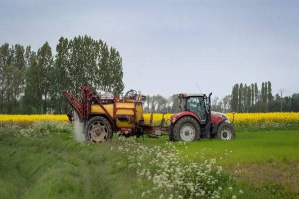 Bolojan începe vânătoarea de "ciocoi" din agricultură. Ce taxe le pune guvernul micilor fermieri?