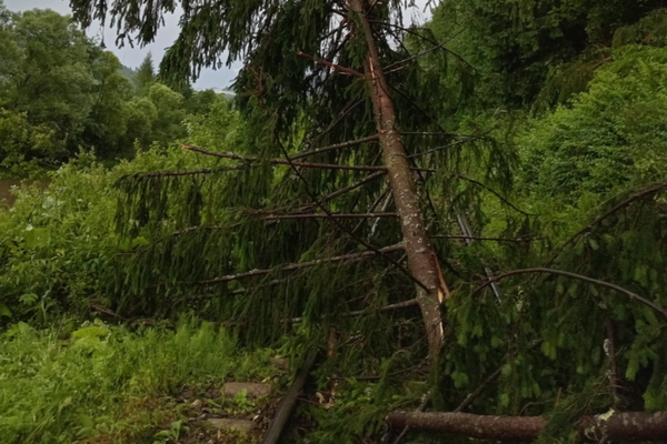 Trafic feroviar oprit temporar pe intervalul Toplița-Lunca Bradului 