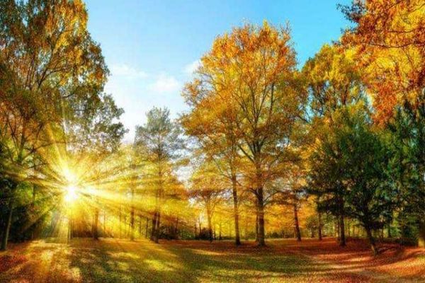 VREME NEOBIȘNUIT DE CALDĂ PENTRU ÎNCEPUT DE NOIEMBRIE