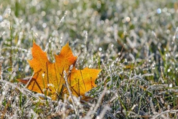 Prognoza meteo 4 decembrie. Vreme mai caldă decât normalul perioadei, ceață și vânt puternic în unele zone