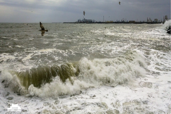 ACTIVITATE SUSPENDATĂ ÎN TOATE PORTURILE DE LA MAREA NEAGRĂ DIN CAUZA VÂNTULUI PUTERNIC  