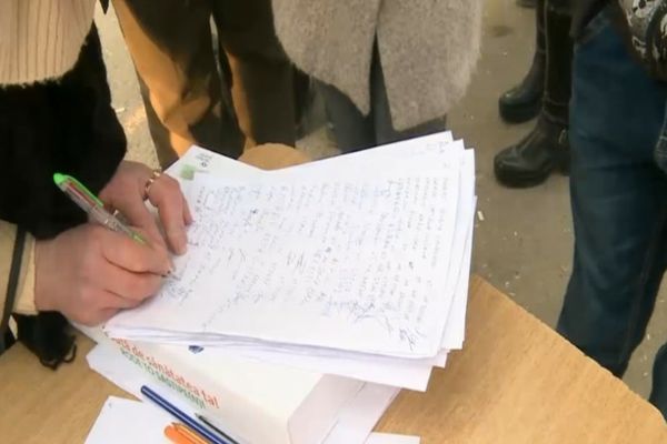  SOLICITARE NEOBIȘNUITĂ: ȘEFA PSDU A CERUT MEMBRILOR BEC SĂ ÎI BAGE LA CONGELATOR LISTELE CU SEMNĂTURILE PENTRU PREZIDENȚIALE