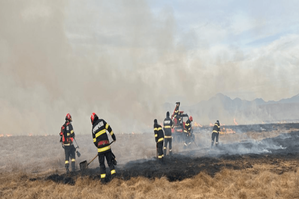 PESTE 8.000 DE HECTARE, AFECTATE DE ARDERILE DE VEGETAȚIE USCATĂ ȘI LITIERĂ DE PĂDURE  