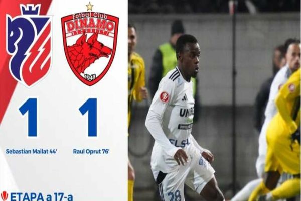 Fotbal: FC Botoșani - Dinamo București 1-1, în Superligă