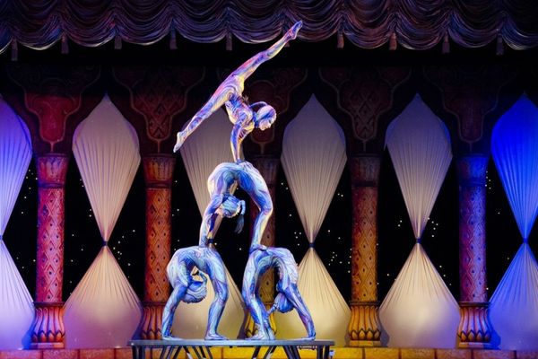 Accident teribil la un spectacol de circ în Craiova: un acrobat s-a prăbușit în timpul numărului. Bărbatul este în stare gravă