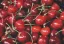 Prețul cireșelor a luat-o razna! Cu cât se vinde kilogramul în piețe