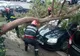 Copac căzut pe o maşină, pe strada Gării