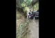 Doi copii de 3 şi 7 ani şi bunica lor au murit luaţi de viitură, la Măgurele. Bunicul este încă dat dispărut