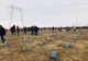 Tineri din Tulcea şi Constanţa au plantat 140 de copaci de Ziua Dobrogei