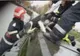 Căţel salvat de pompieri din Lacul Ciuperca